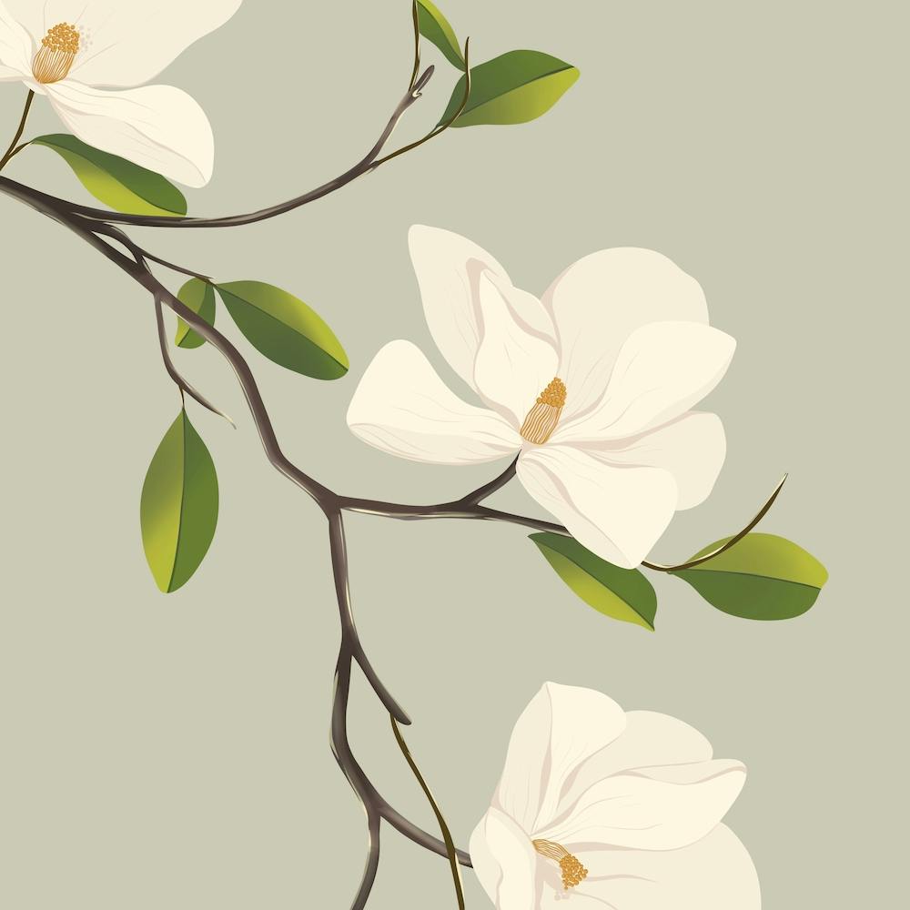 Floral Illustration theme Pride & Prejudice