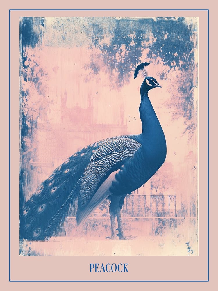 Peacock In A Palace Cyanotype Inspired 2 Poster