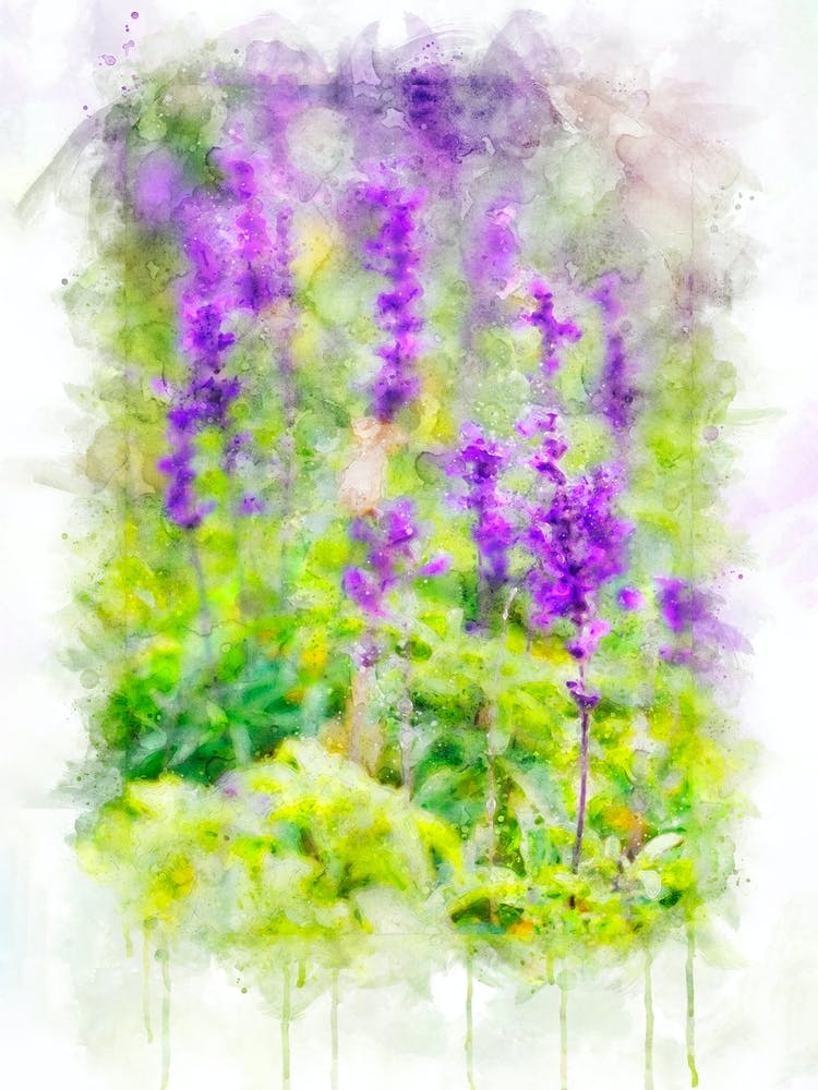 Flowers watercolor 2. Art botanical watercolor photography.