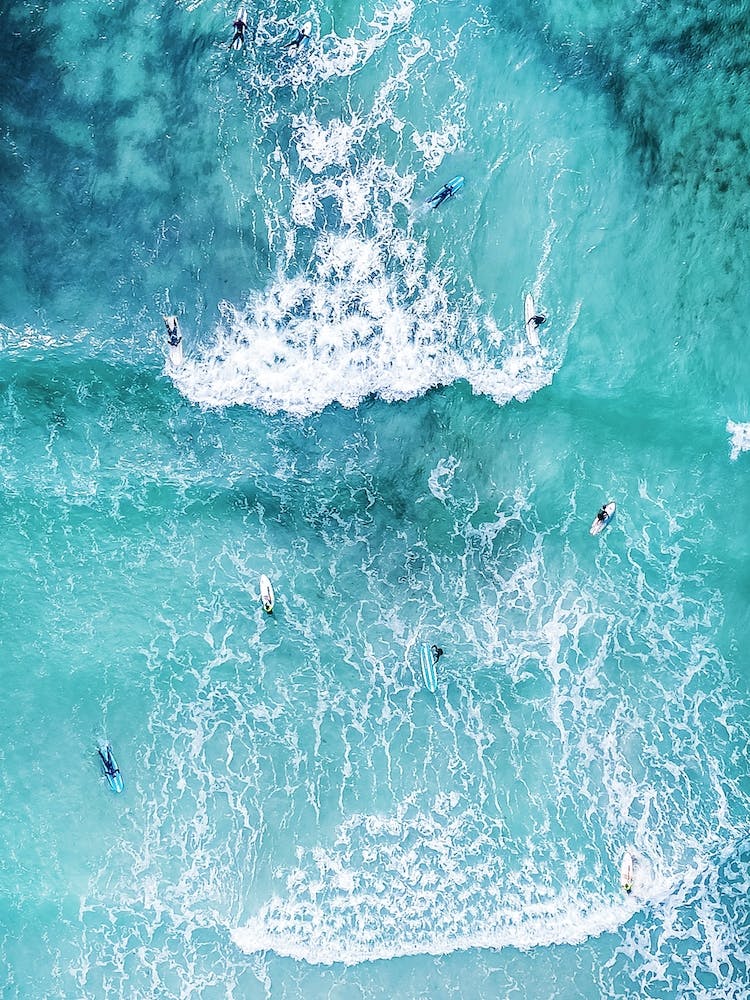 Surf Mood