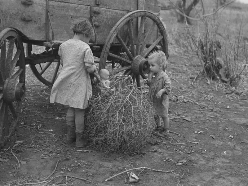 Untitled Photo, Possibly Related To Children Of Earl Pauley, Playing With Dolls In Tumbleweed, Near Smithland