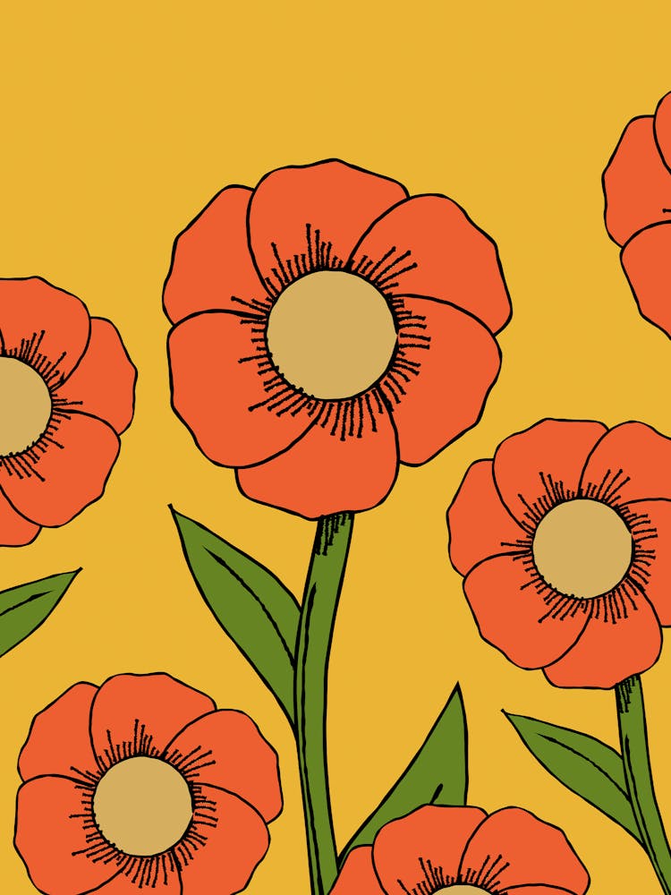 Poppies 1