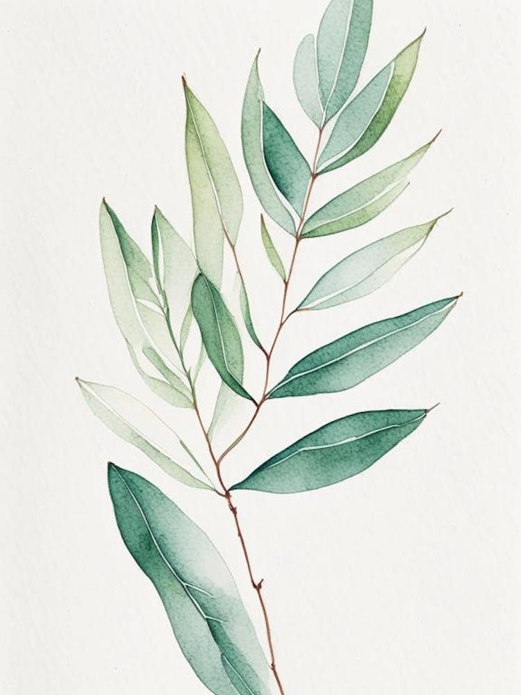 Wax Myrtle Leaf Minimalist Watercolour 1