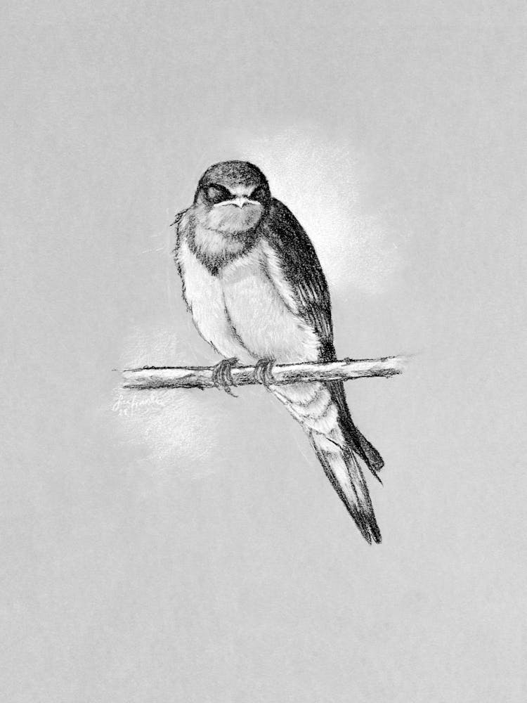 Feathered Friend No 745 by Aga Szafranska