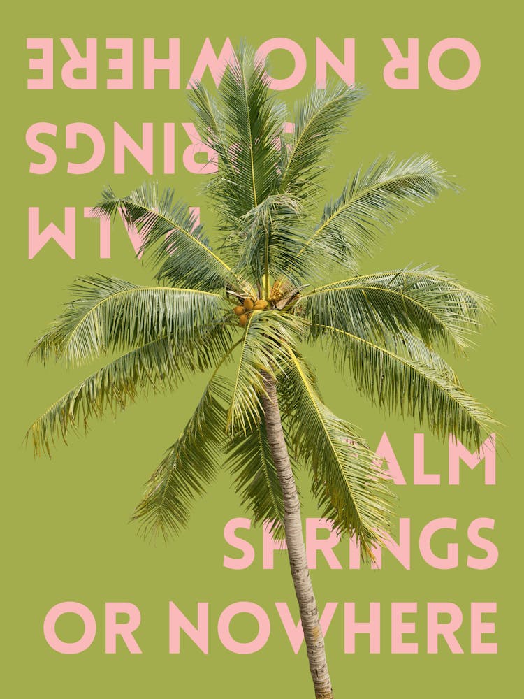 Palm Springs or Nowhere