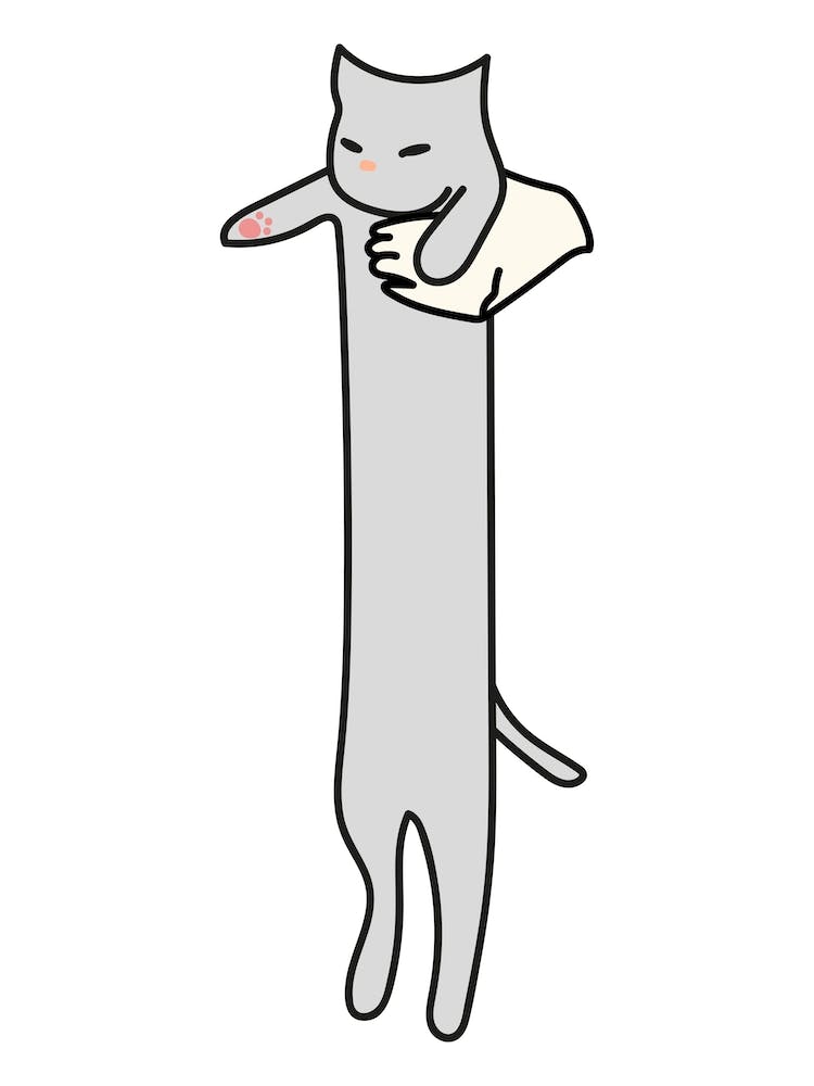 Long Cat Meme
