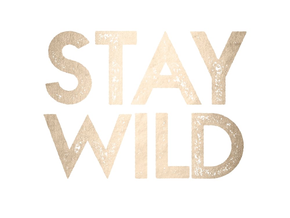 Gold Stay Wild - Wanderlust Quotes