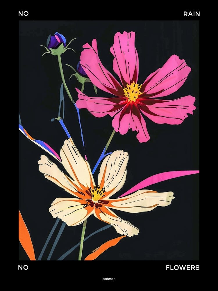 No Rain No Flowers Poster Cosmos 2