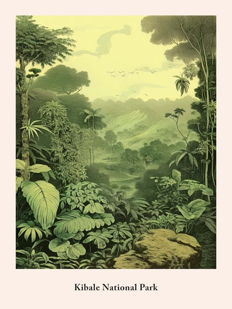 Kibale National Park