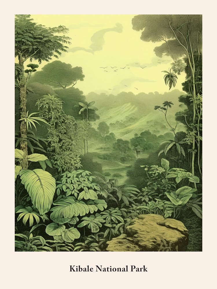 Kibale National Park