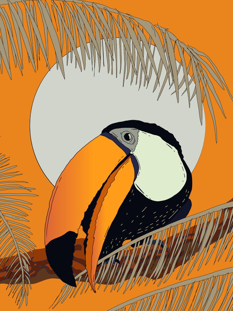 Toucan Sunset
