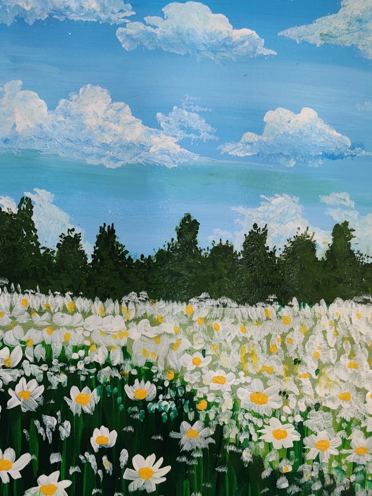Daisy Field