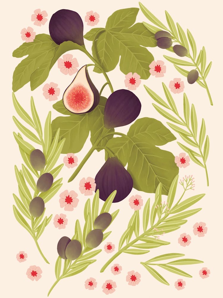 Figs And Olives With Flowers Illustration
