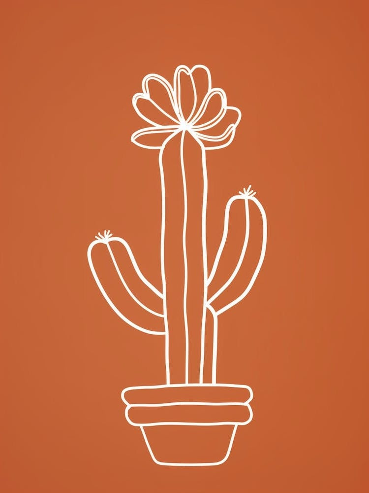 Cactus Line Drawing Gymnocalycium Cactus 1