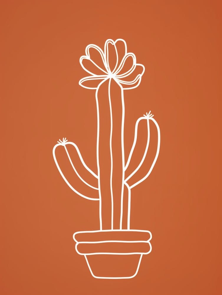 Cactus Line Drawing Gymnocalycium Cactus 1