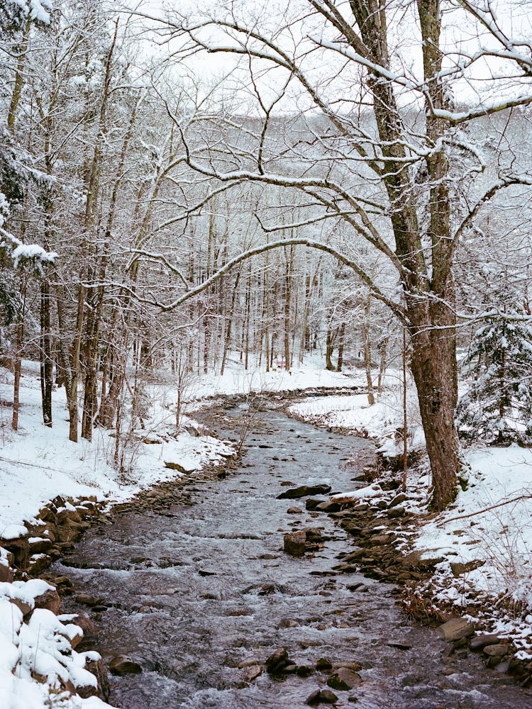 Upstate New York Snow Xii