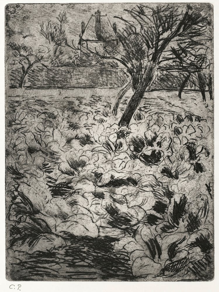 The Cabbage Field (ca. 1880), Camille Pissarro