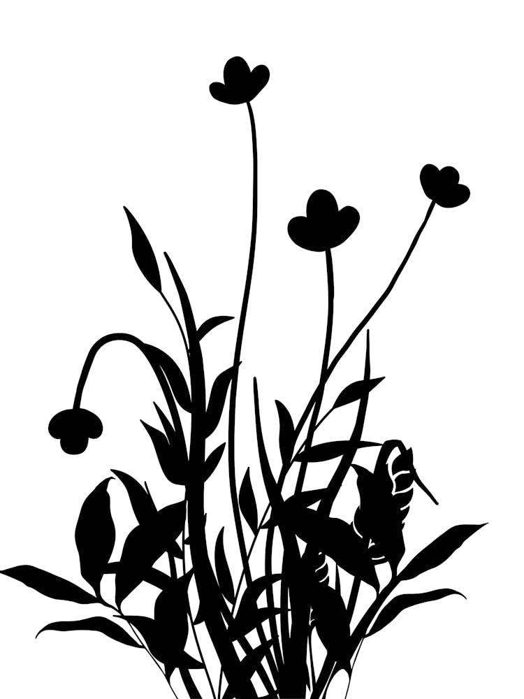 Schwarz-weiße Orchideenblüten Art Print by Alemi – Fy!