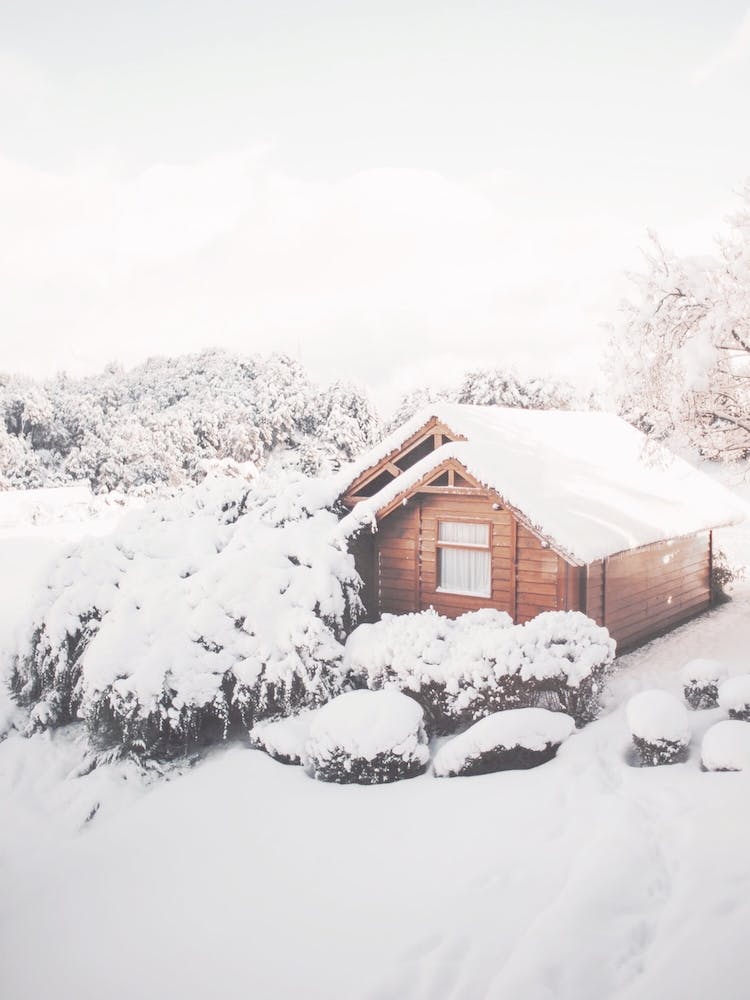 Snow Covered Cabin
