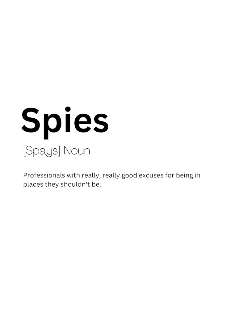 Spies Definition Meaning
