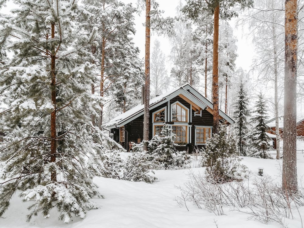 Cabin In Snowy Forest