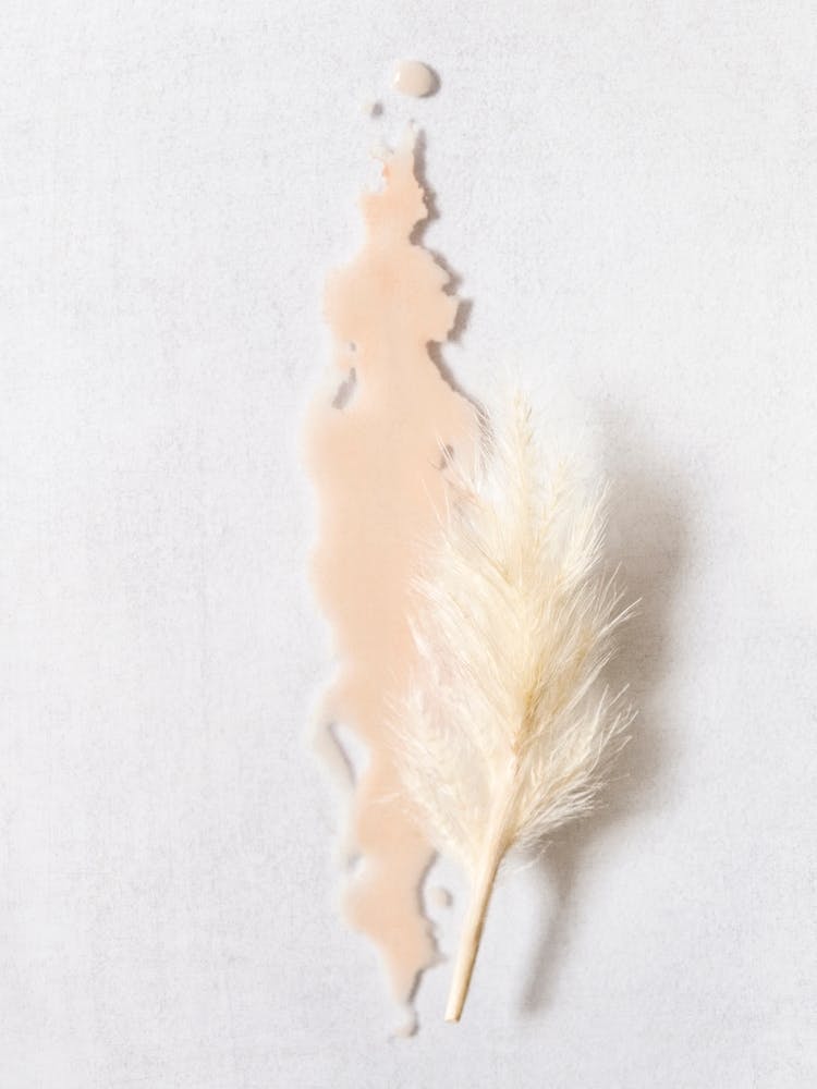 Pampas On Blush Pink