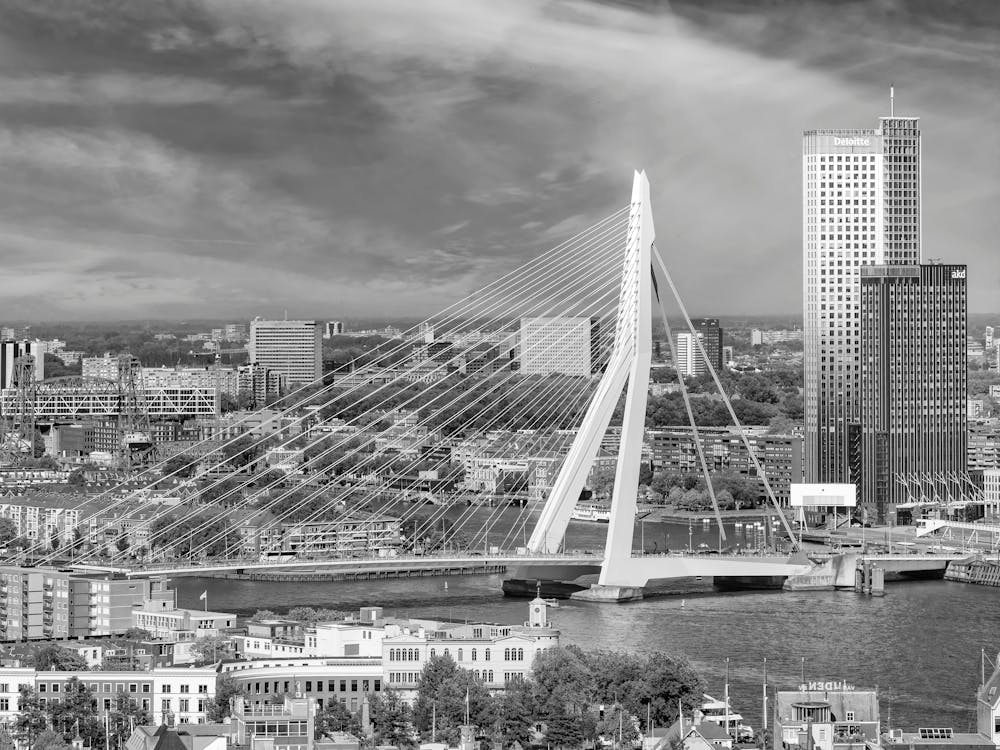 View From The Euromast With Erasmusbrug