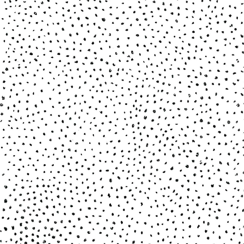 Dotted Black And White Square