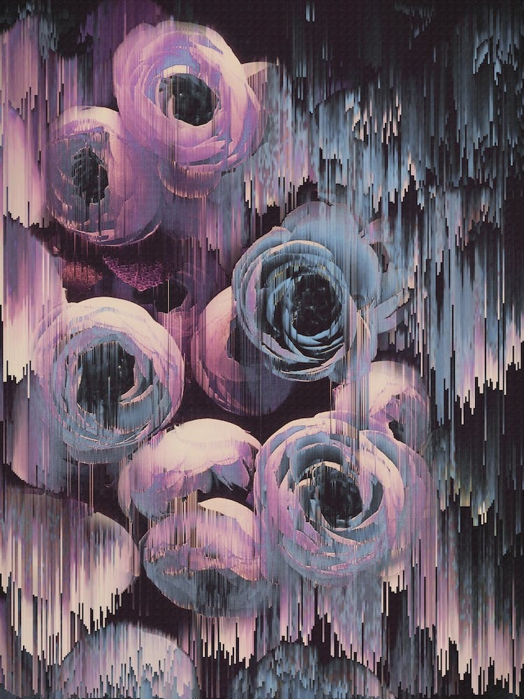 Florale Glitches