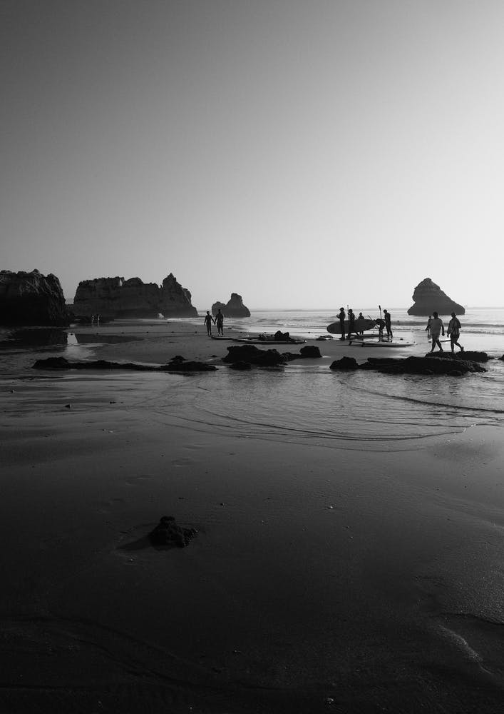 Just Surf