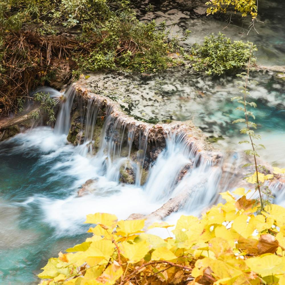 Turquoise Water Yellow Leaves Square