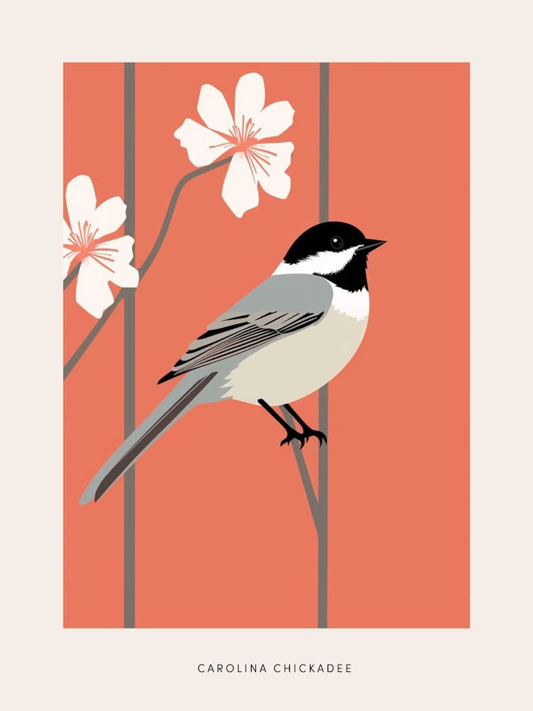 Minimalist Carolina Chickadee 3 Bird Poster