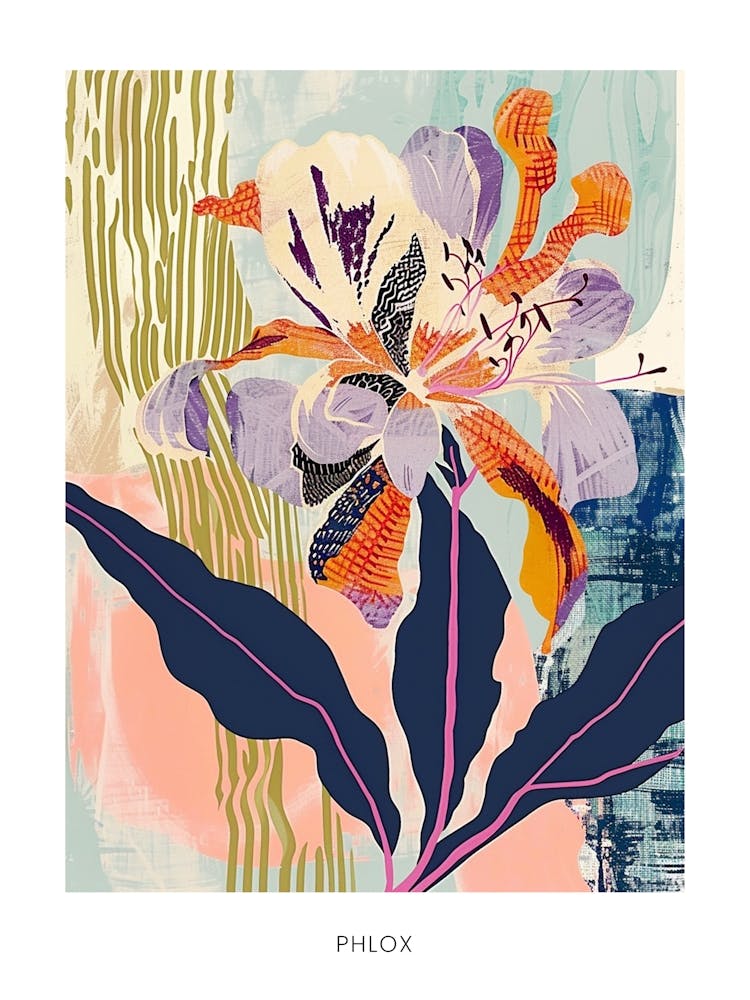 Colourful Flower Illustration Poster Phlox 4