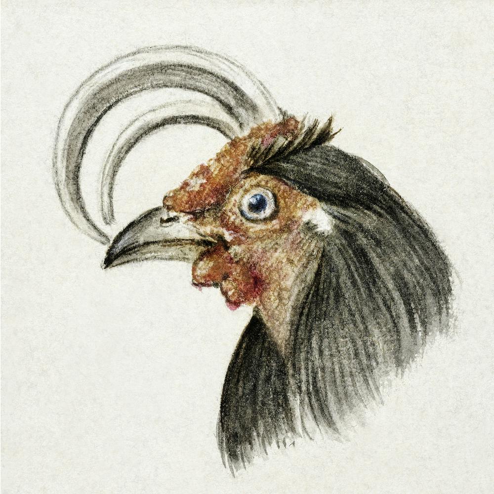 Head Of A Rooster, Jean Bernard