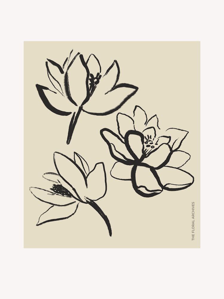 Pure forms no 20
