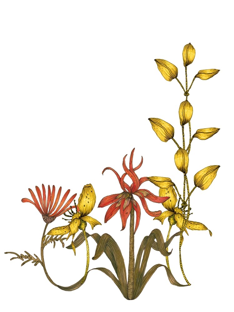 Fritillary Garden