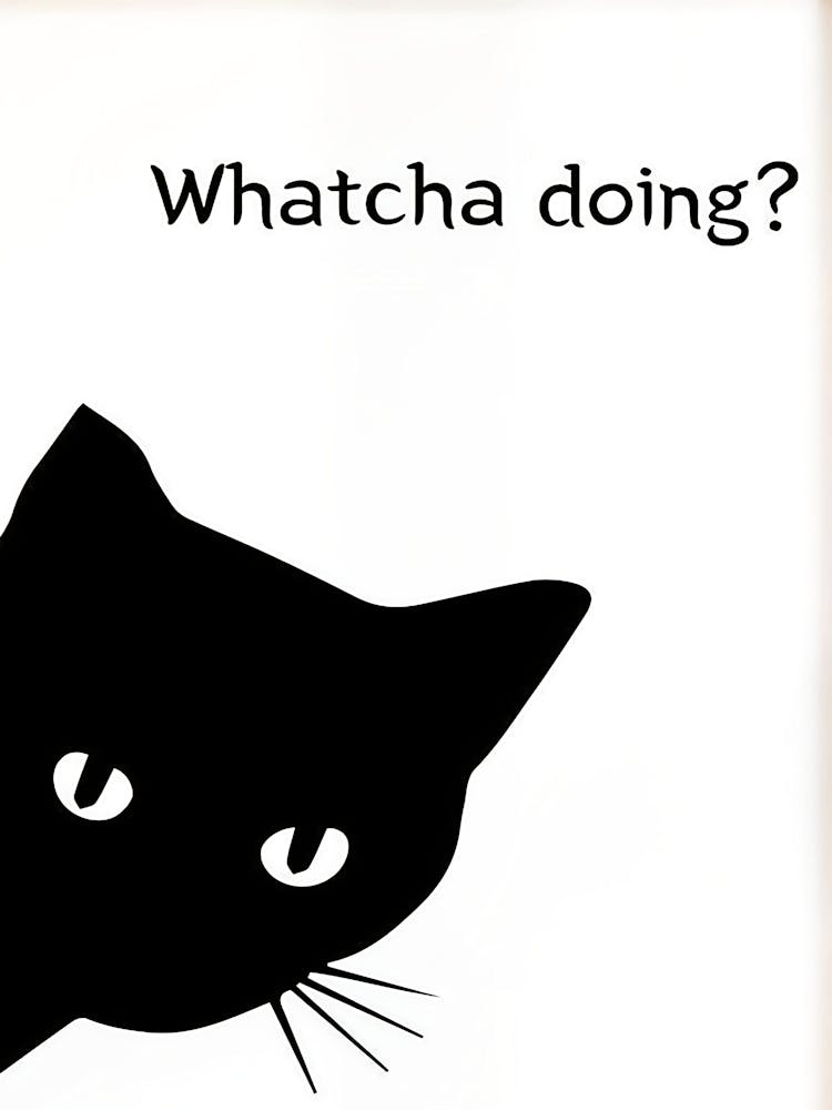 Black Cat Poster, Funny Posters, Funny Wall Decor, Minimalist Funny Cat Prints, Bathroom Wall Art Toilet Poster, Home Decor, Cat Lover Gift