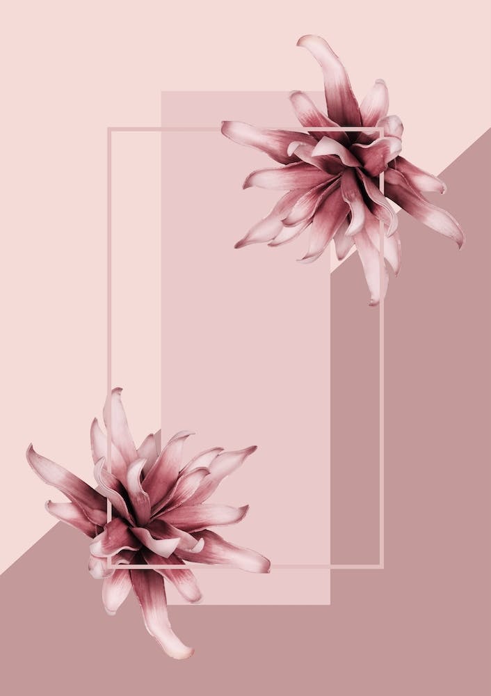 Fleur Esthétique II