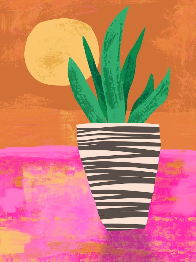 Potted Plant At Sunset