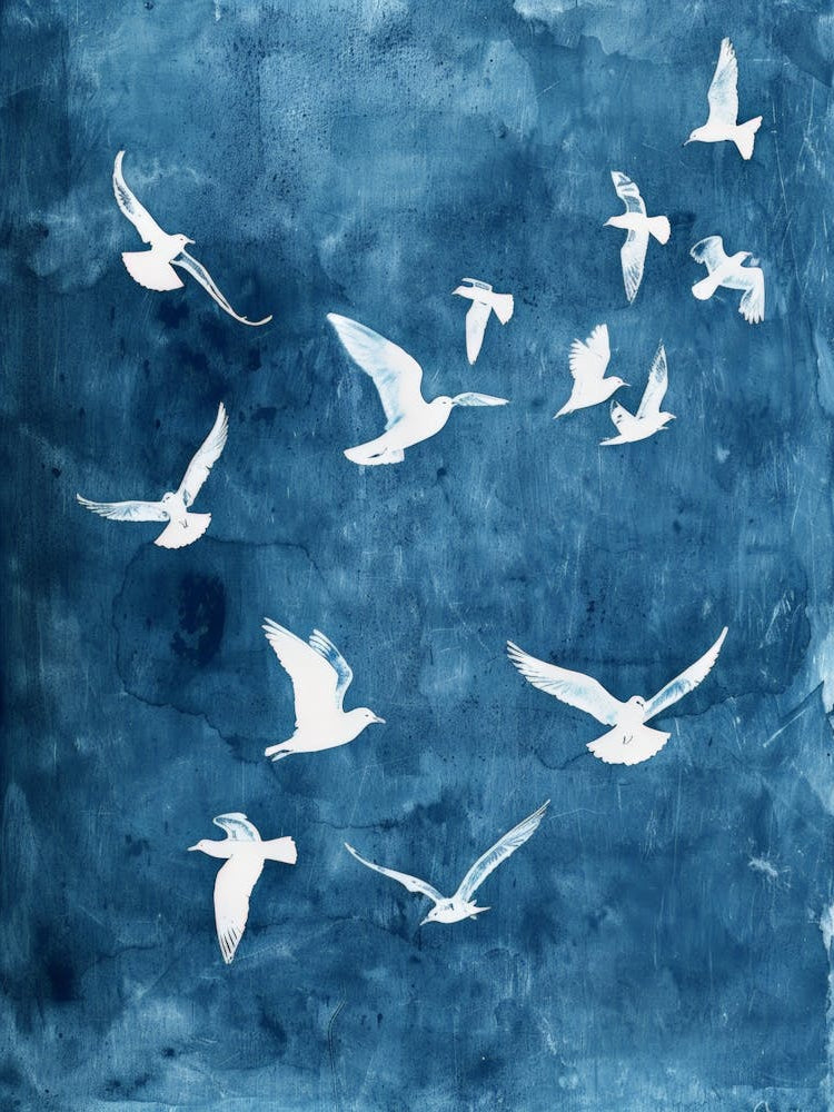 Seagulls 18