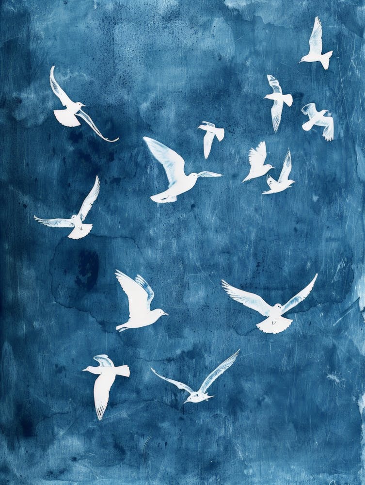 Seagulls 18