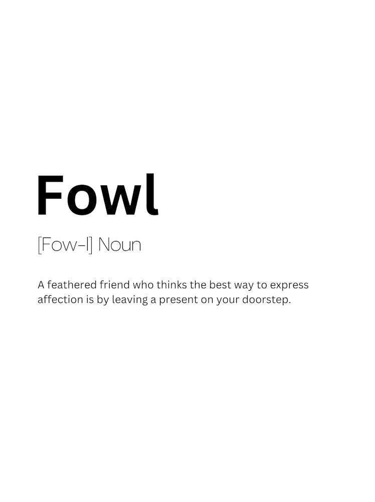 Fowl Definition Meaning 1