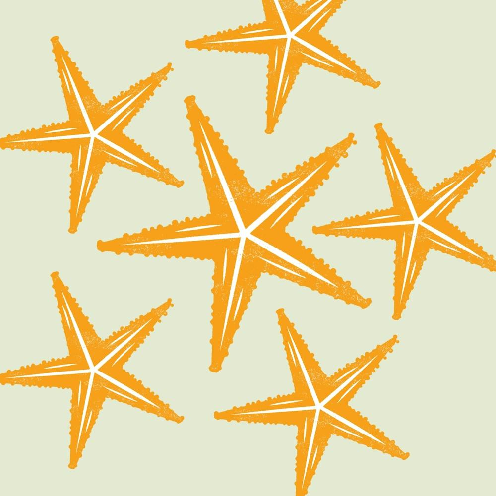 Starfish art print 1