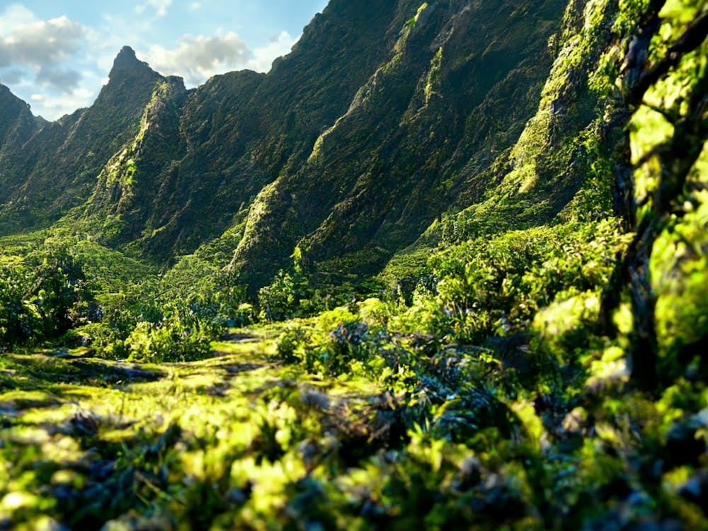 Hawaiian Landscape 1