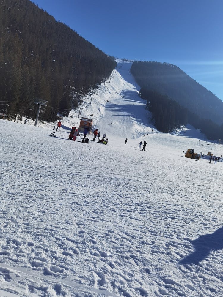 Snow Wonderland