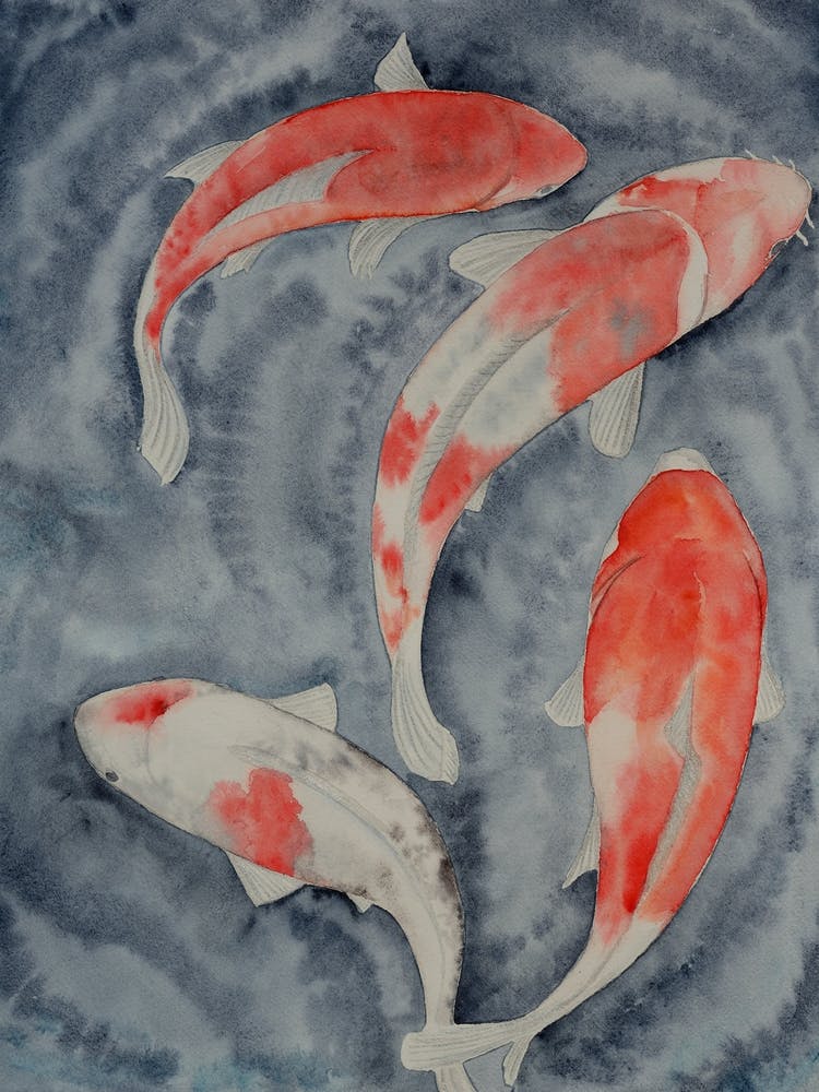 Koi fish