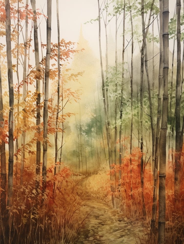 Autumn Forest Landscape Sagano Bamboo Forest Japan 2