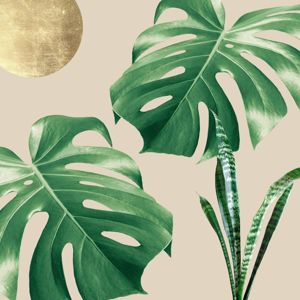 Botanisch und tropisch floral 3