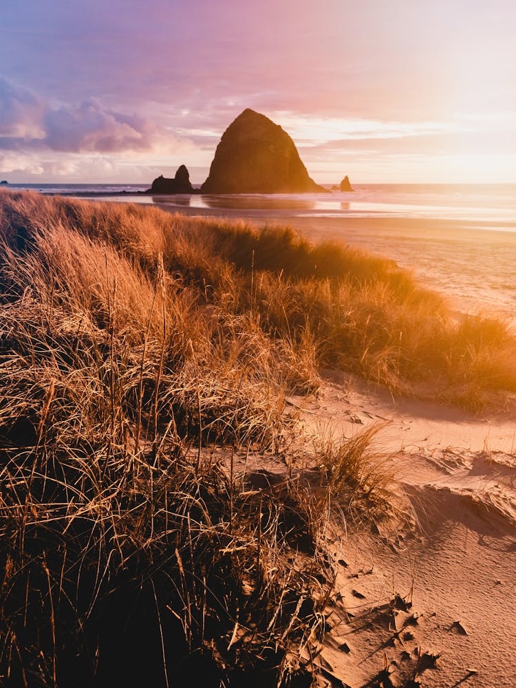 Pastel Sunset At Cannon Beach