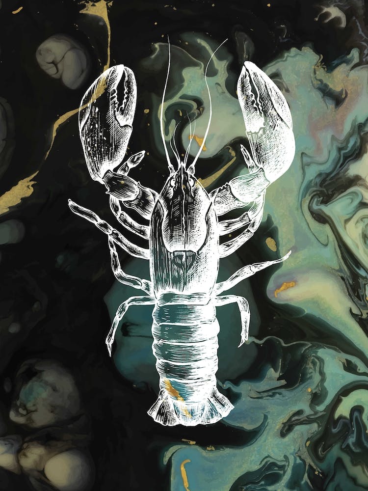 Under Water Wonders Lobster Black & Green